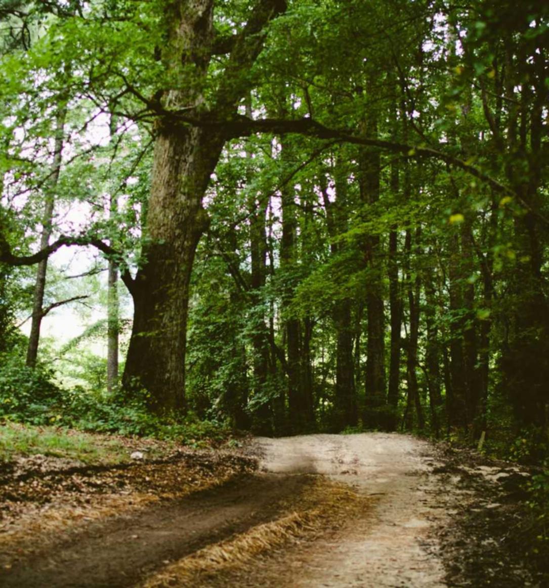 无限互联实名账号:鲜花平台代理