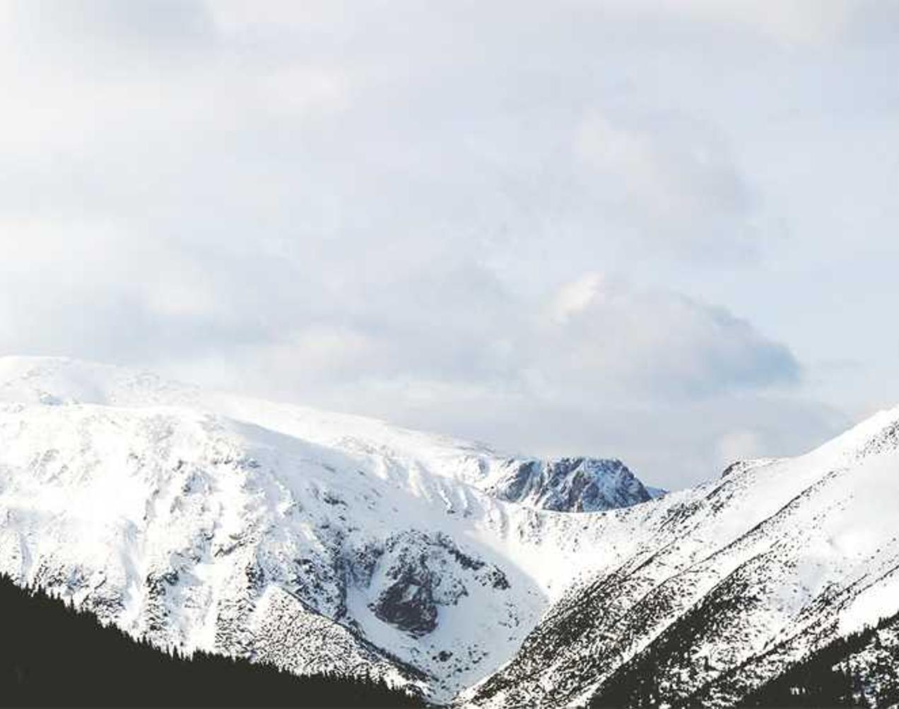 soul灵魂- 龙港市申请工商代理注册