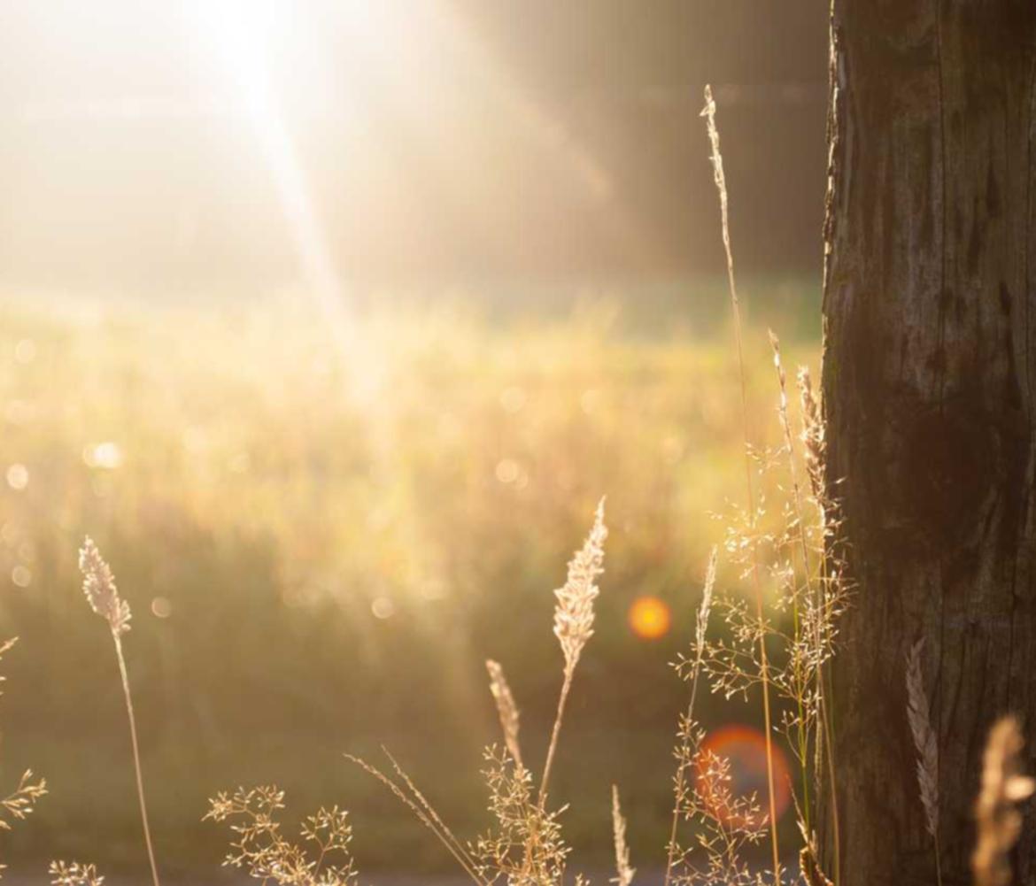 华为云国际站实名账号：招财兔app详情下载教程