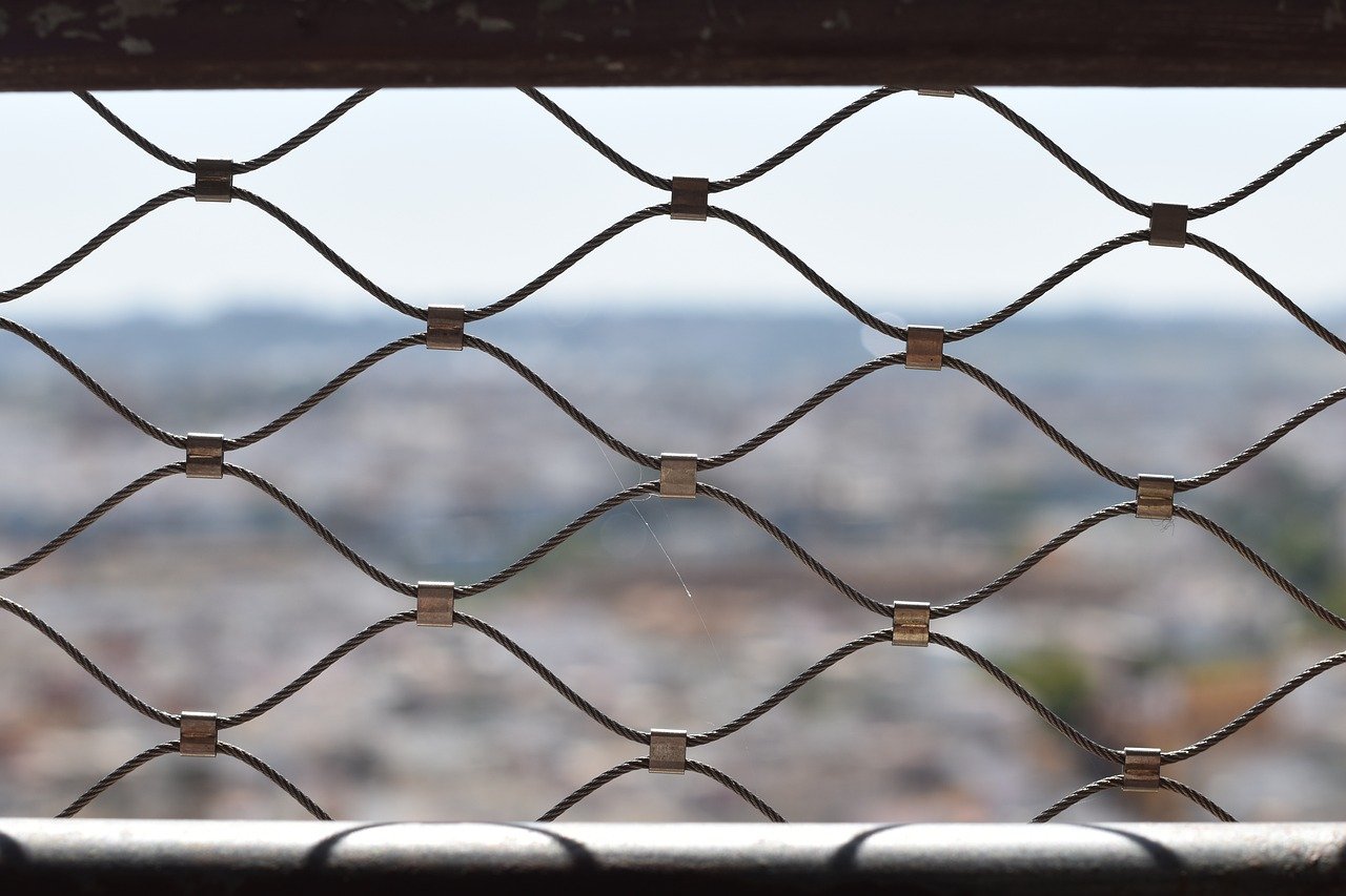 网信移动实名账号：国寿app官方详情下载教程