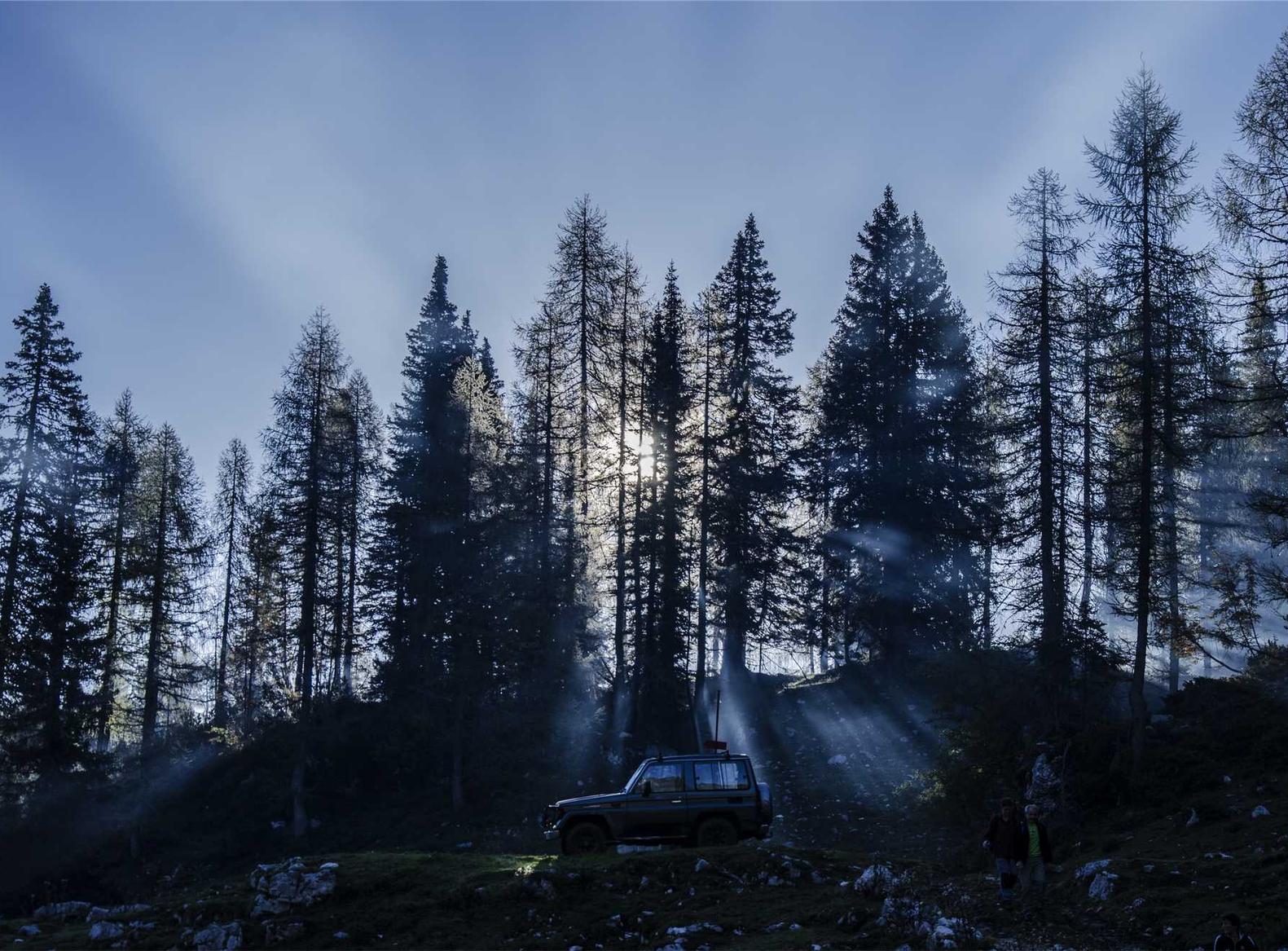 DDOS网页端|湖州工商注册代理流程