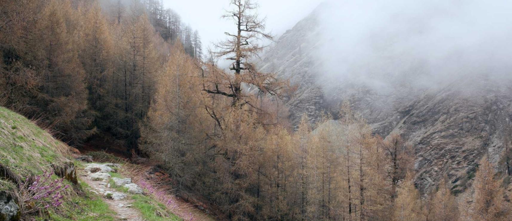 港股平台怎么开户