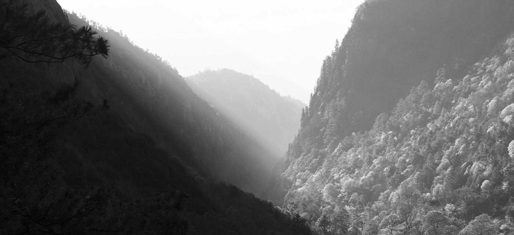 短信营销与电子商务营销的区别及交叉应用