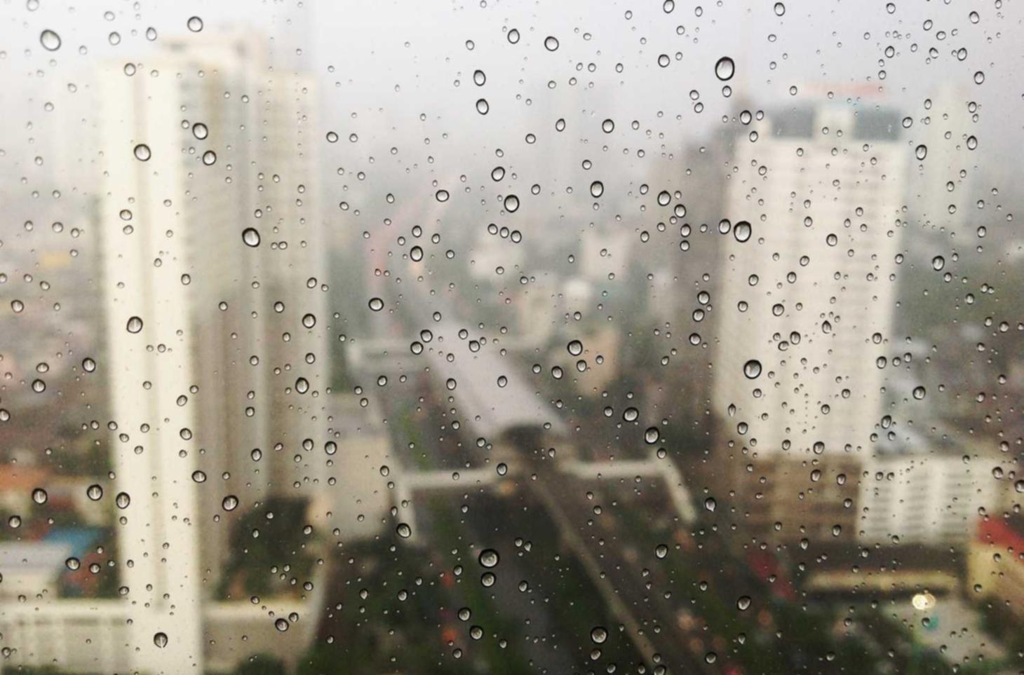 免费攻击网站|argo注册账号