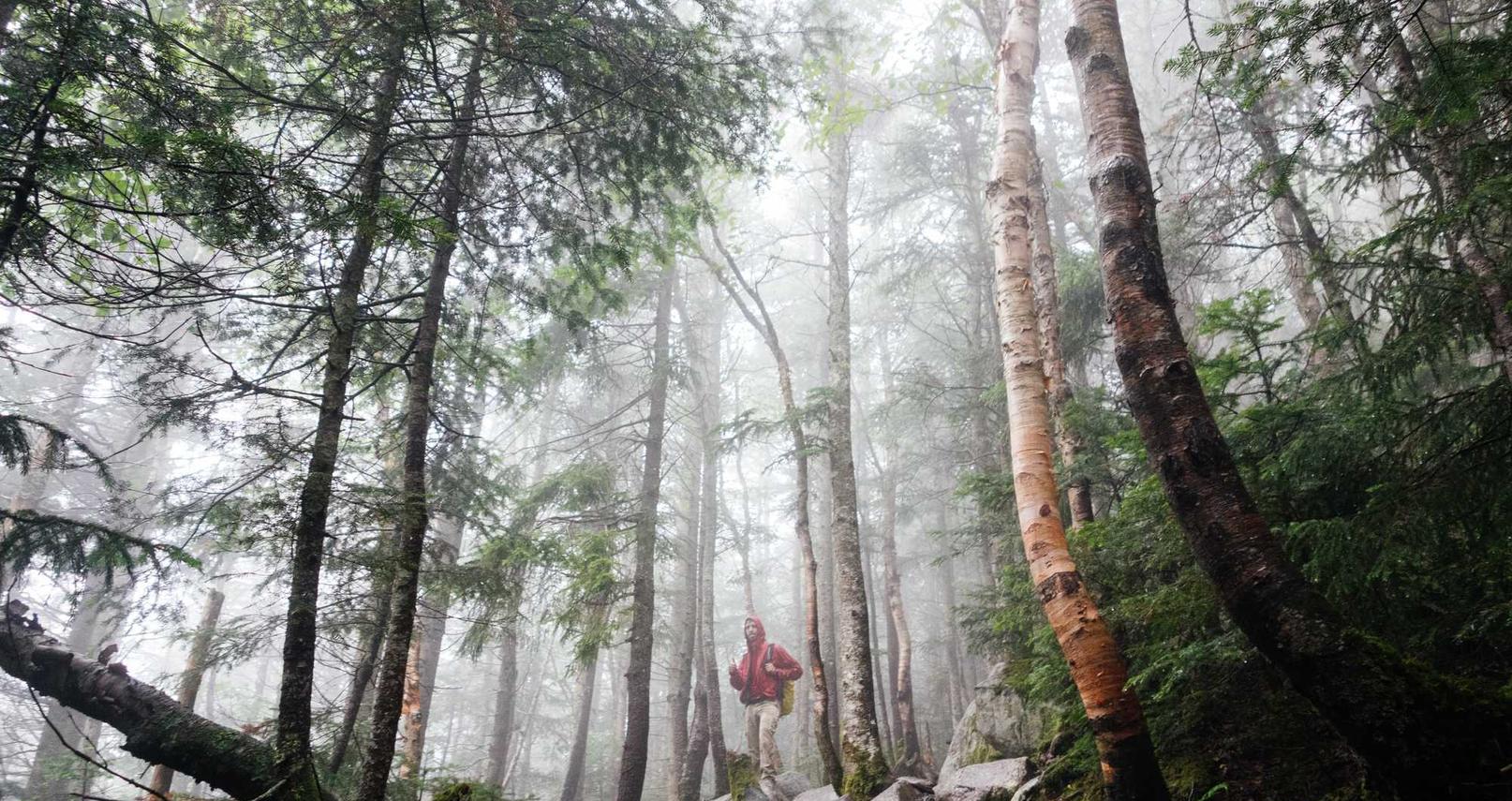 免费攻击网站|网络安全：企业如何加强网络安全