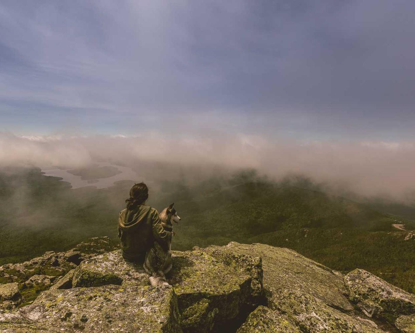 创造与魔法：eos的购买平台