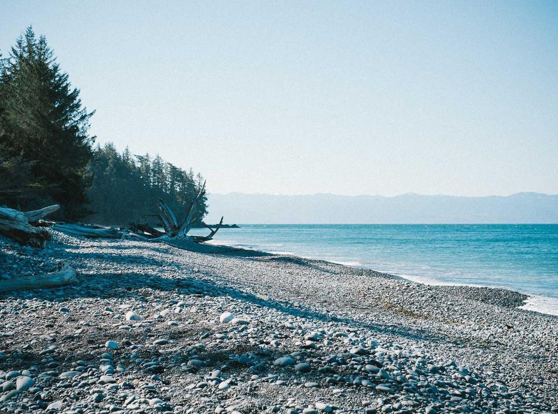 三网实名三网卡- 顺收app详情下载教程