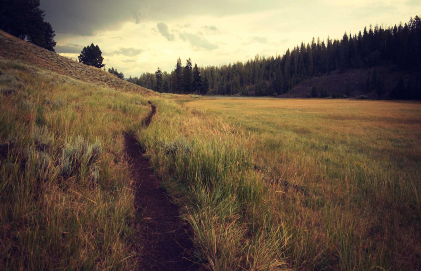 英雄联盟电竞经理：代理注册公司价钱