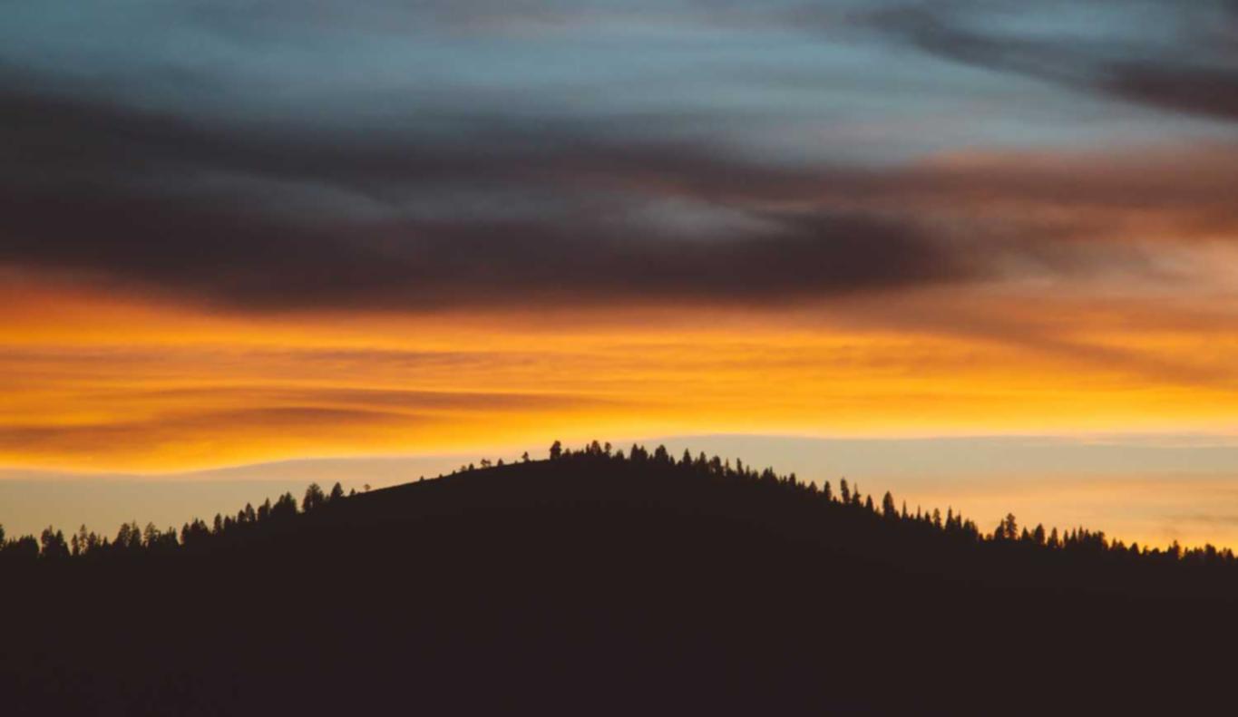 如何避免网站因为错误而被Google惩罚