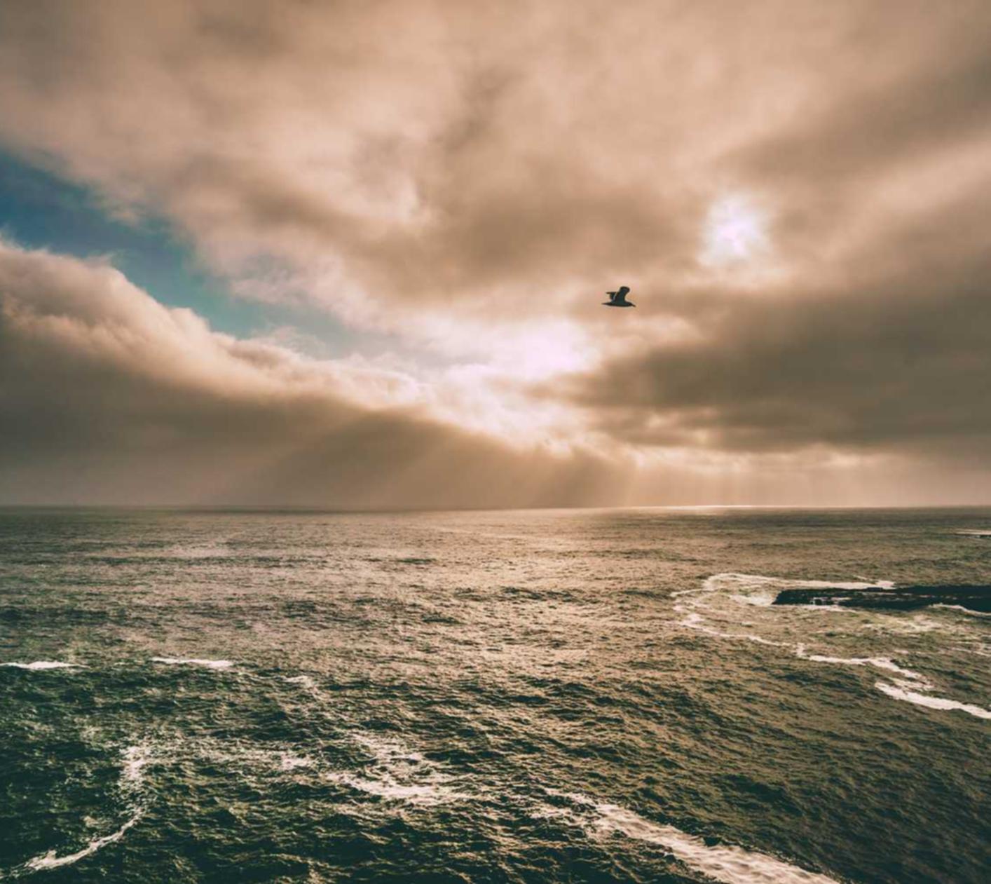 火种实名账号：vat注册靠谱代理