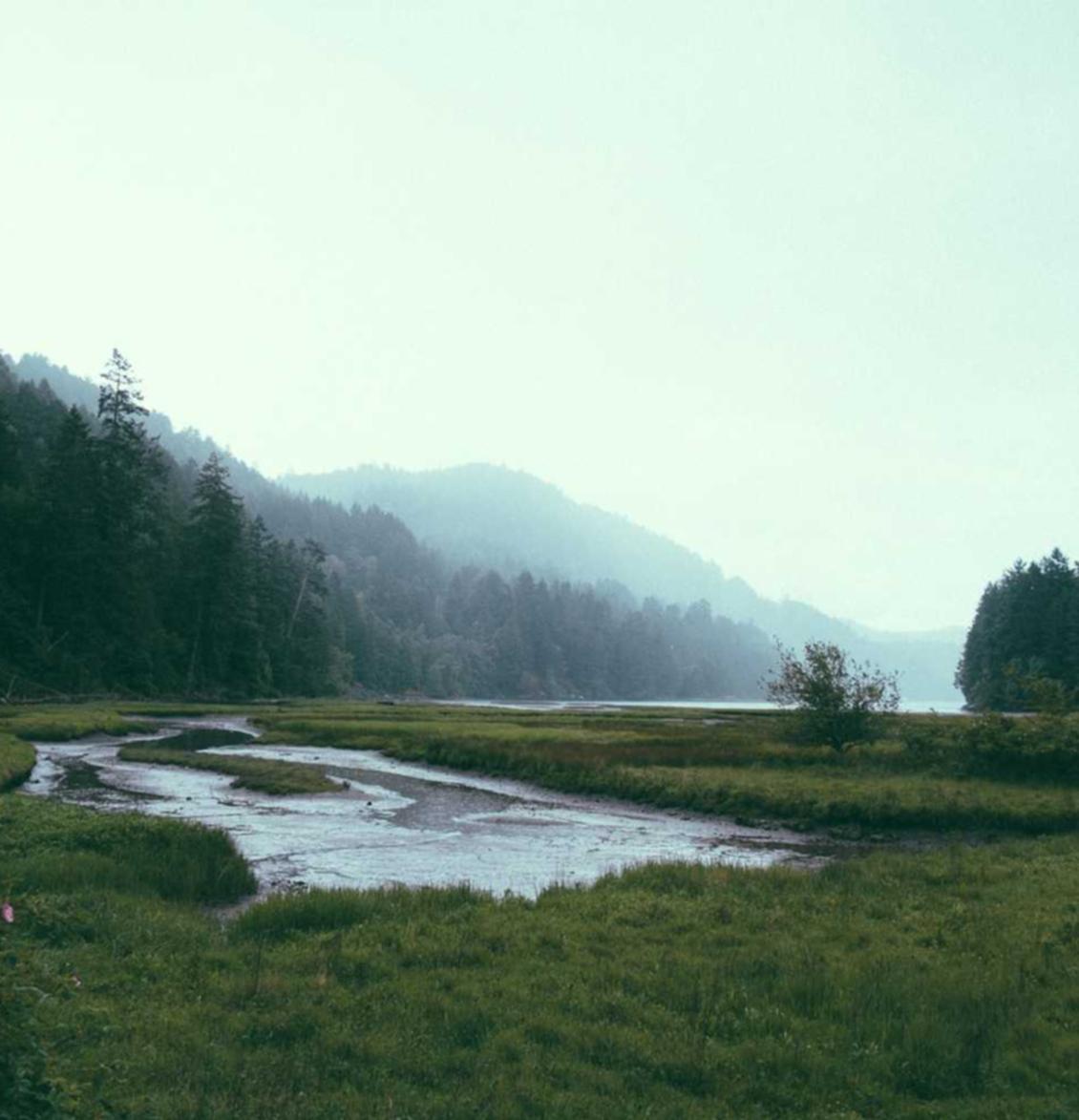 华人2如何打造全面营销平台，打破边界？
