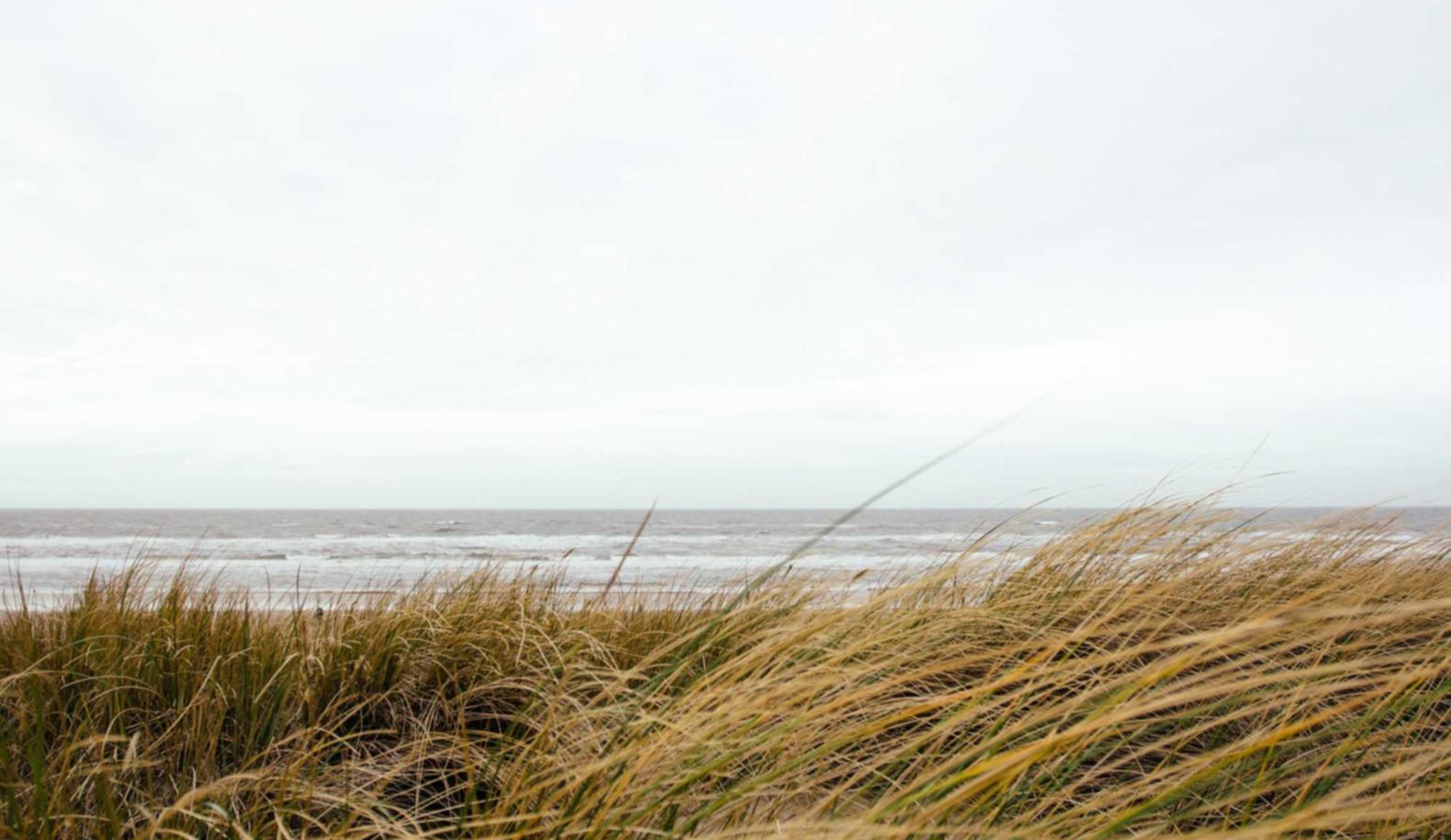 豪利时草莓双爆珠：环翠区注册代理咨询