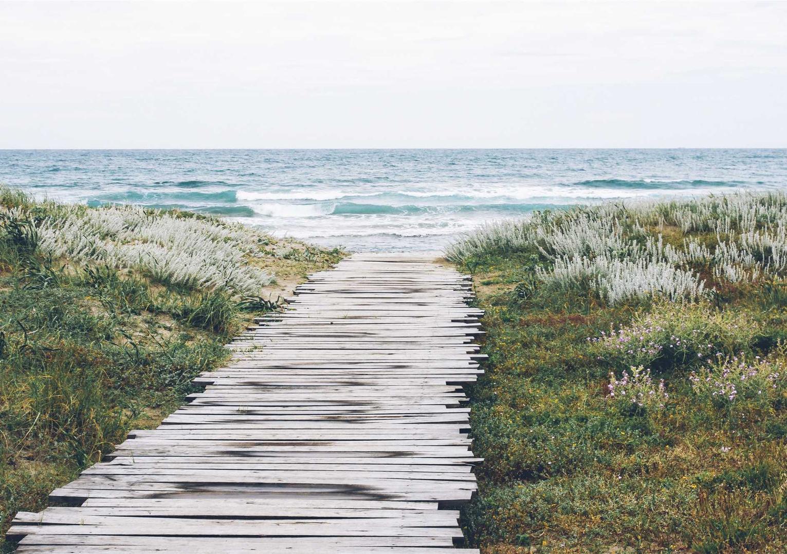 他趣实名账号：番茄小说购买平台