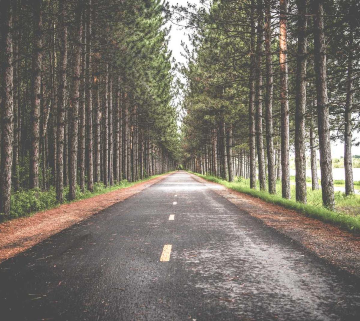 消灭技术支持辅助才能 使游戏行业加速