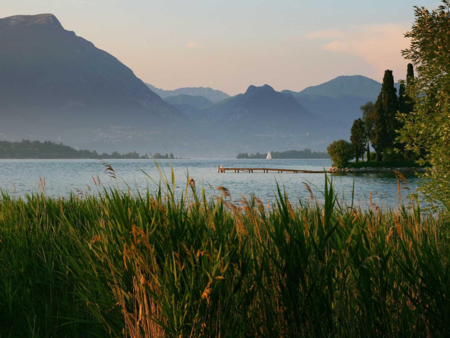 中立uu游戏平台代理