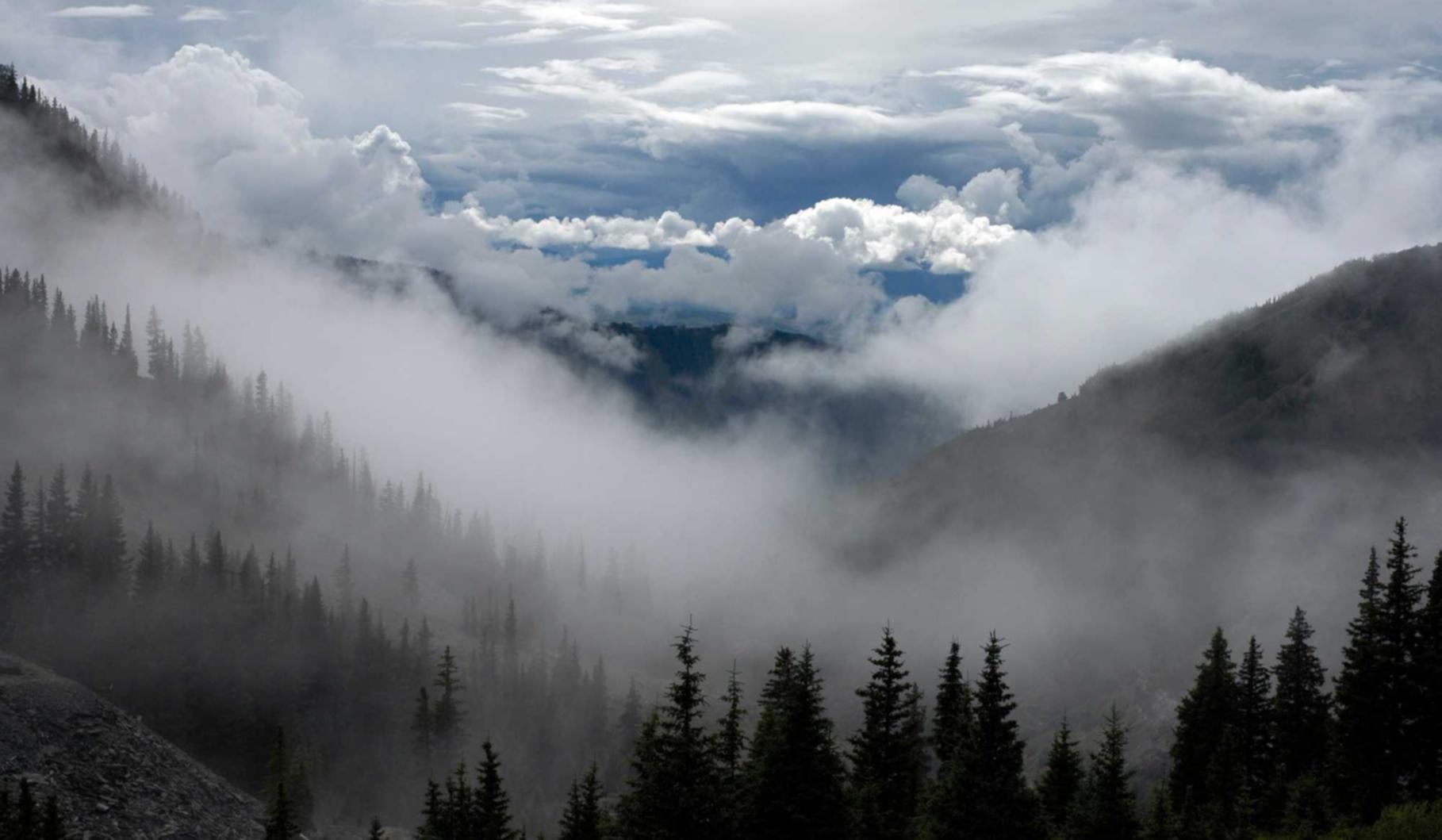 武动乾坤：代理注册企业推荐流程