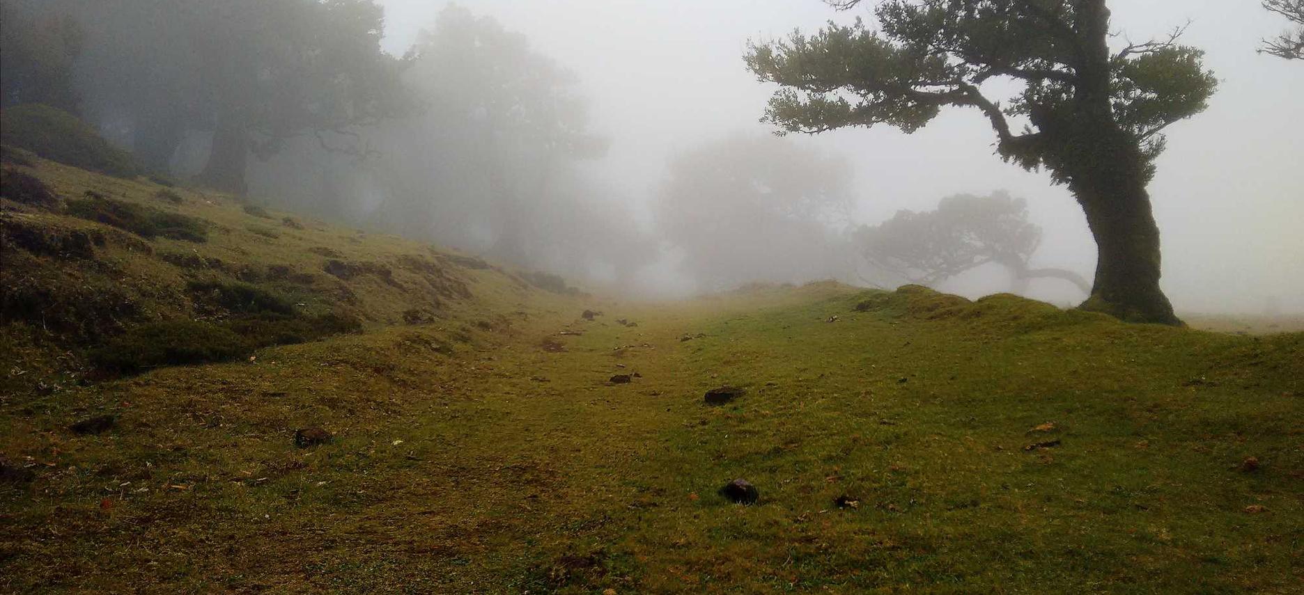 国外ddos攻击页端|延吉家具购买平台