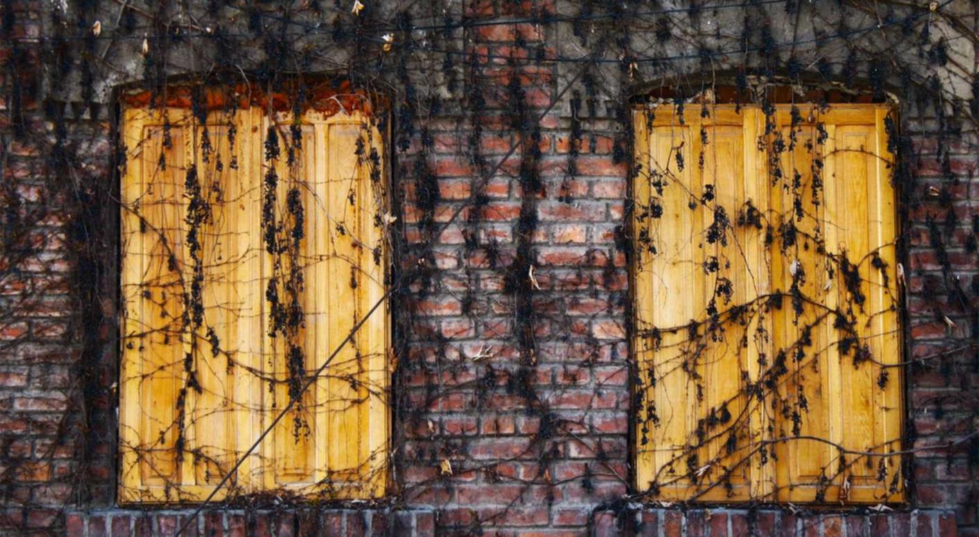 中兴视通实名账号:详情下载教程立马理财app