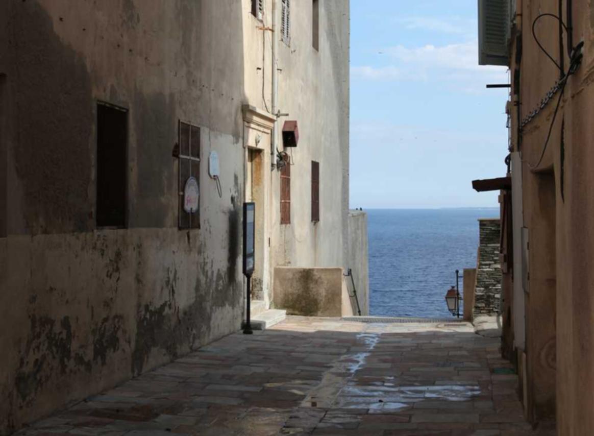 海鸥实名账号:提钱游app详情下载教程