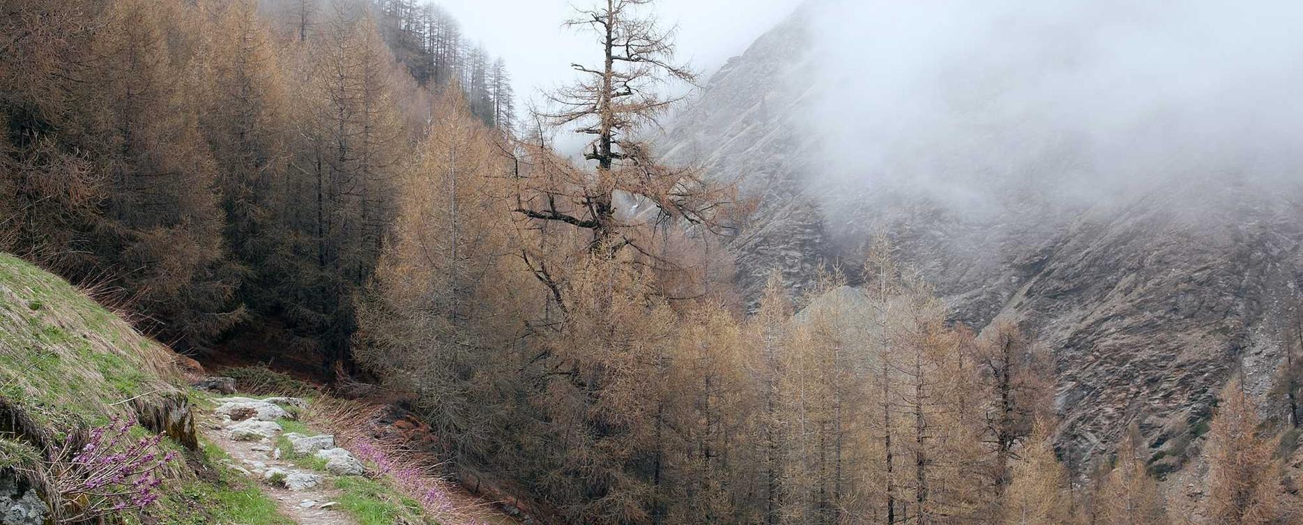 如何检测和剔除恶意软件以防止黑客攻击