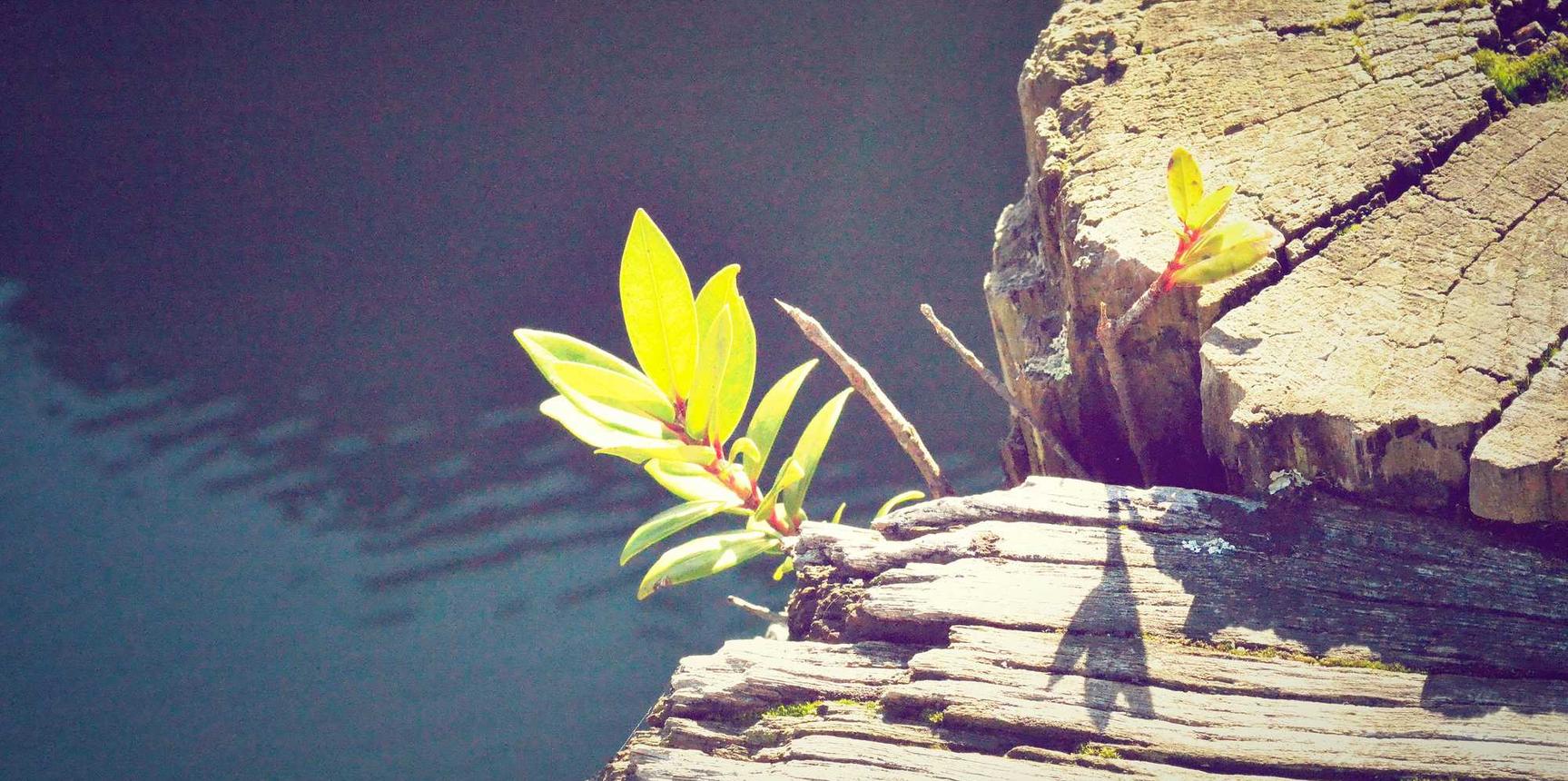 华为云实名账号:老大爷注册游戏账号