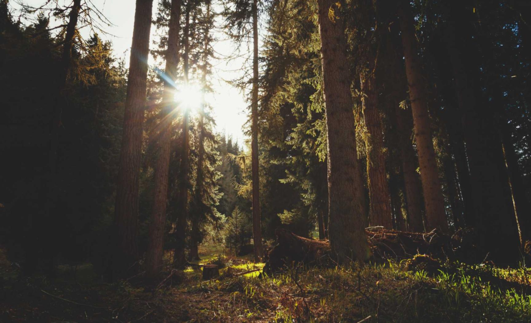 华为云实名账号:什么购买平台好