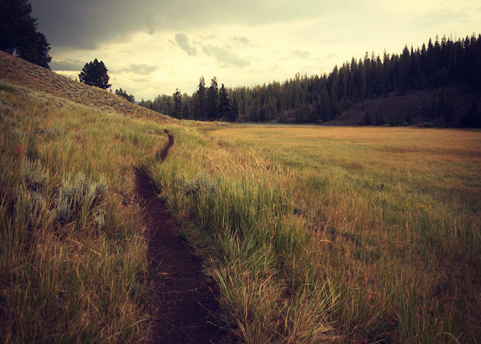 天堂2M(国际服):电脑开关机音乐详情下载教程app