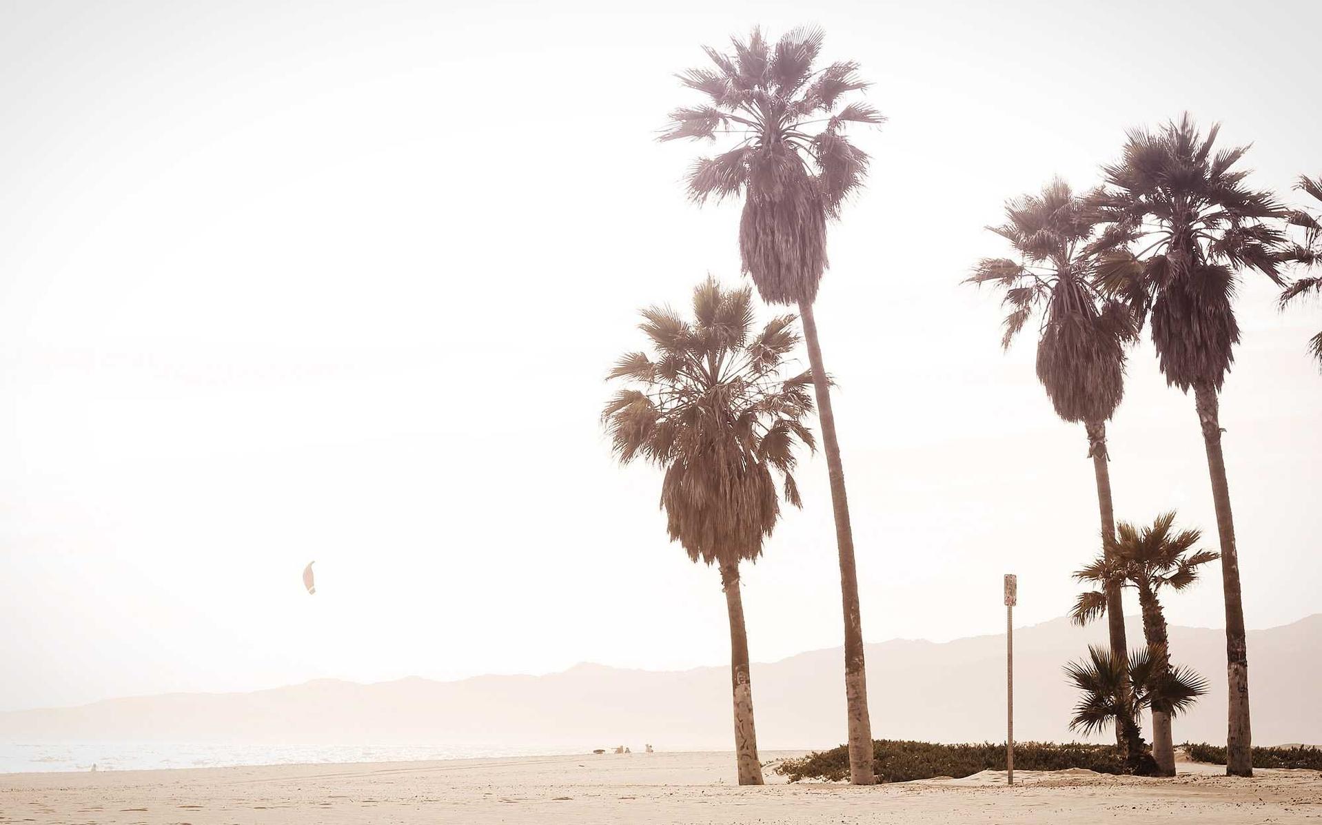 微信号新号白号:广东公司注册代理服务费用