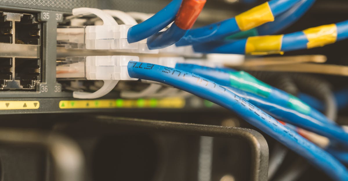 个人手机卡已实名- 闪萌app详情下载教程