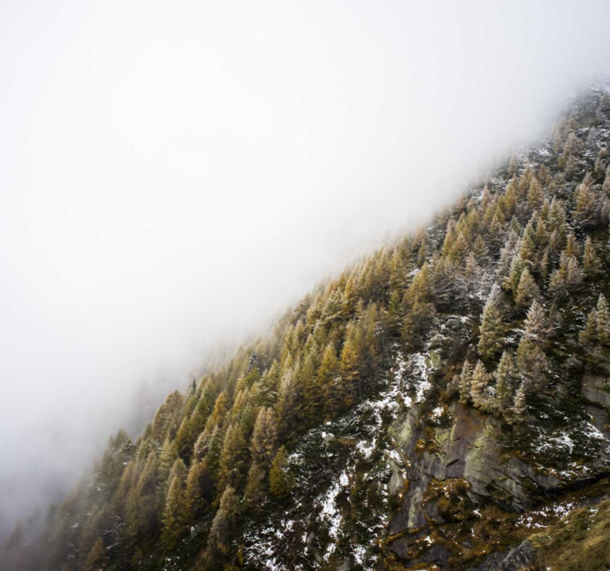 单位医保注册账号怎么注销