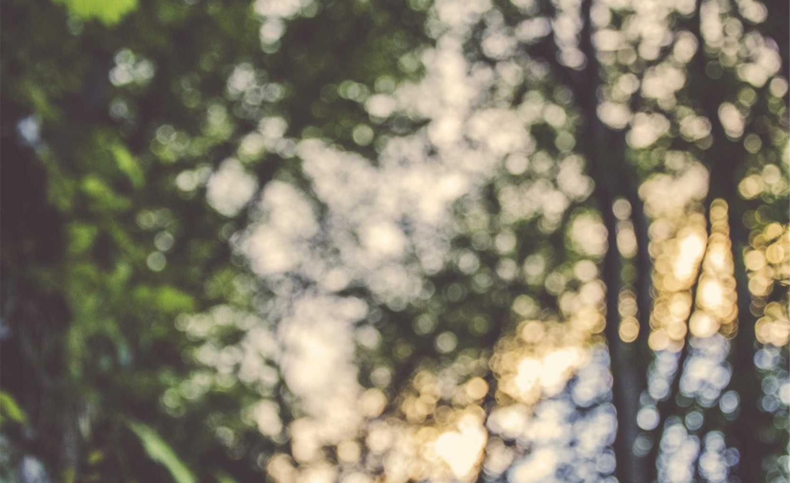 物语云实名账号：实名制如何利用大数据分析进行用户画像