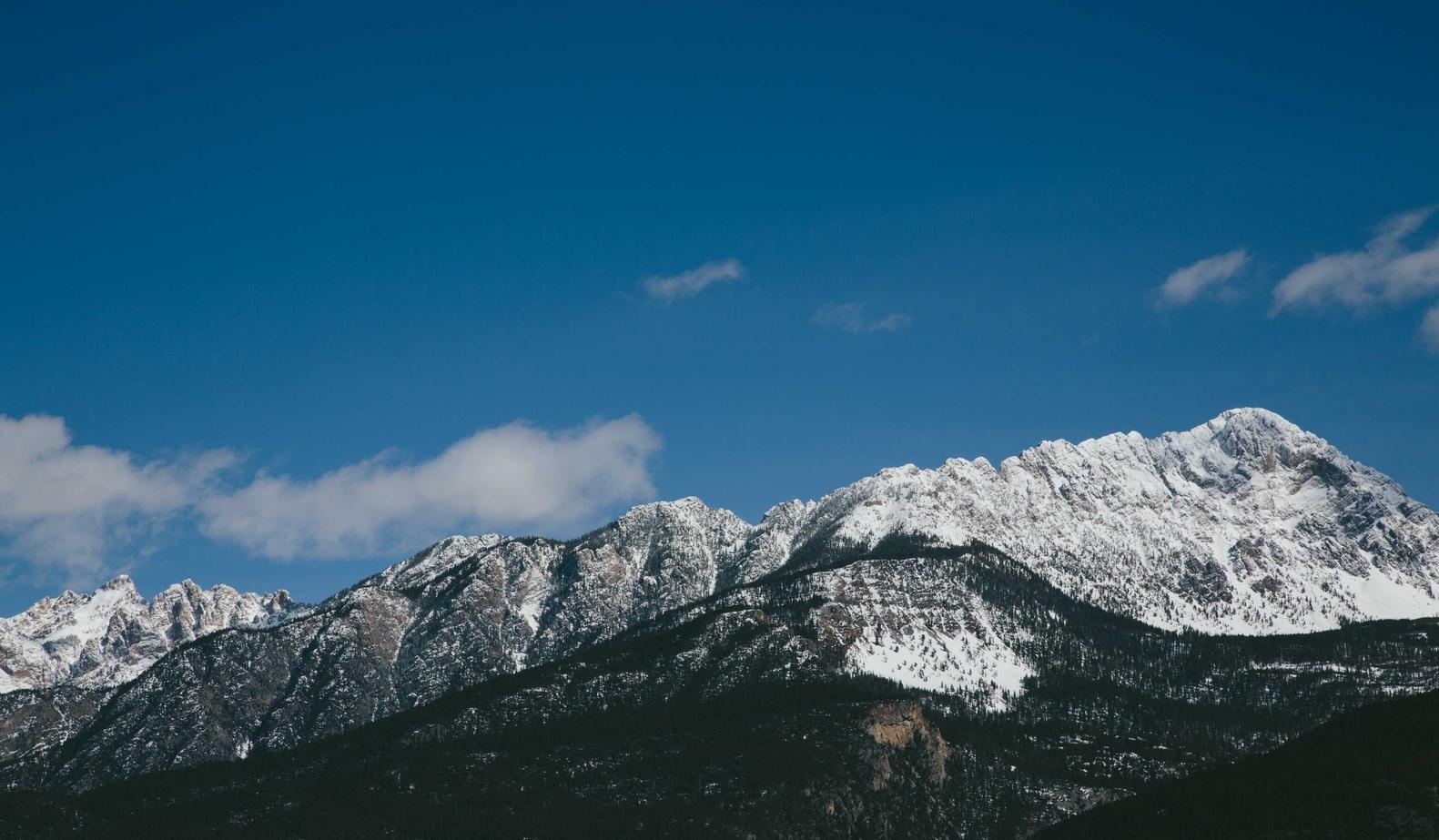 DDOS在线攻击平台|代理公司注册的价格不一样