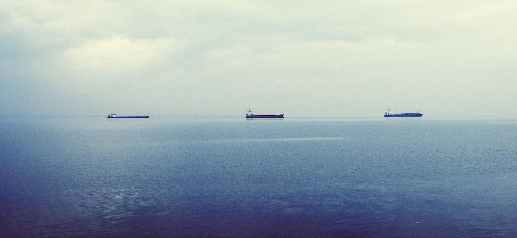 世纪互联实名账号：小猪视频app详情下载教程安装