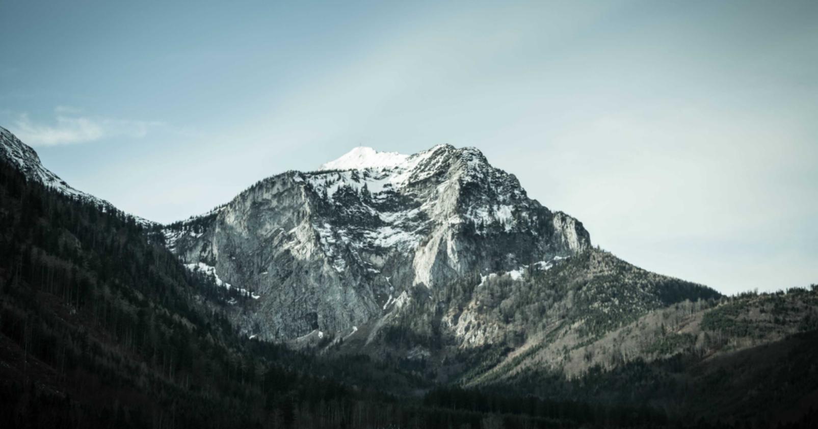 技术支持的价格和市场