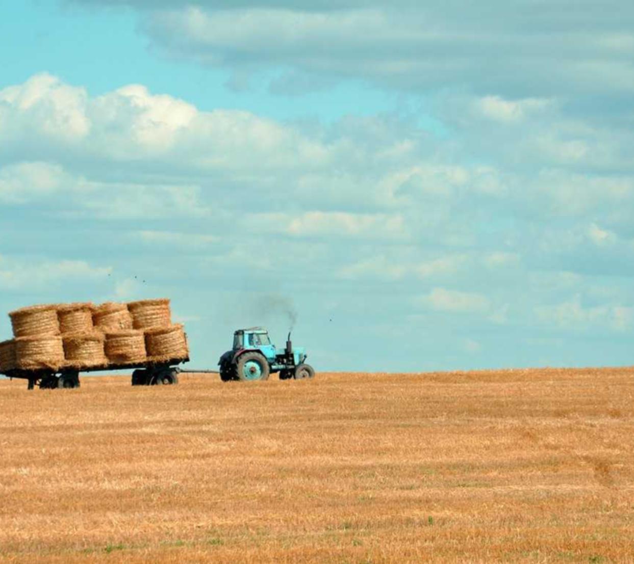 如何使用社交媒体广告优化SEO 