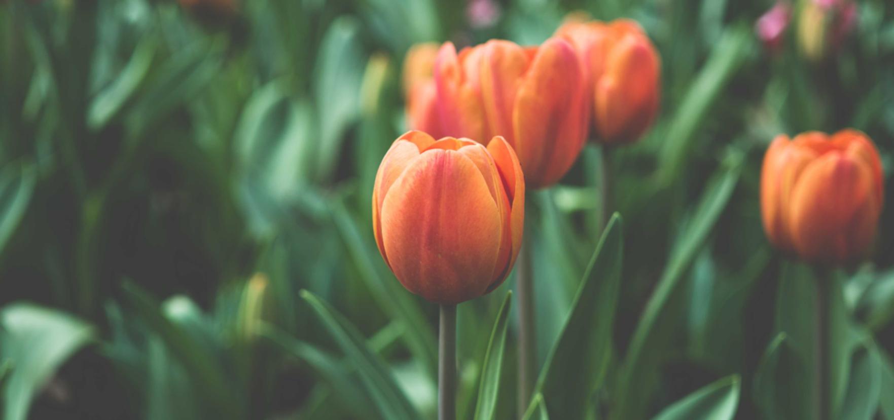 解读DDOS实时攻击图- 阅读量平台  开户