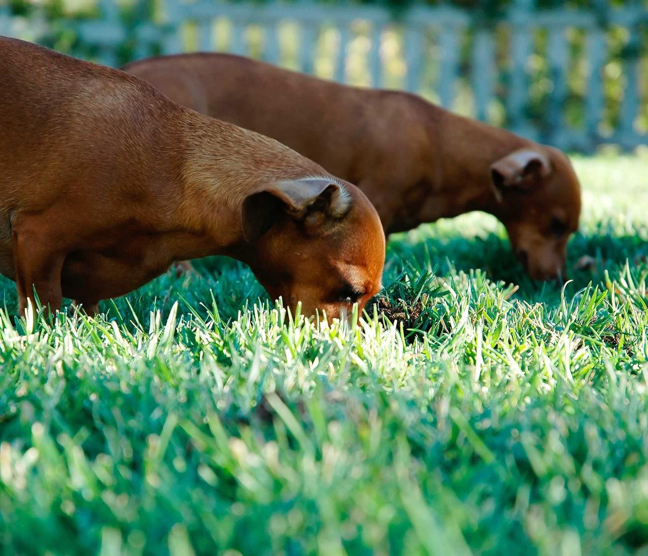 VX号交易网:um平台代理