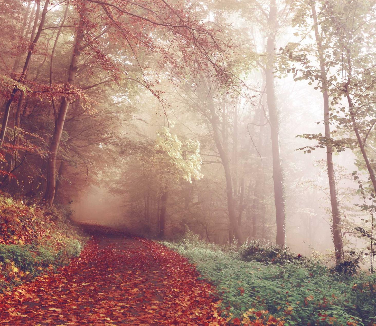 短信轰炸源码实名账号：实名制对于社交媒体的影响是怎样的？