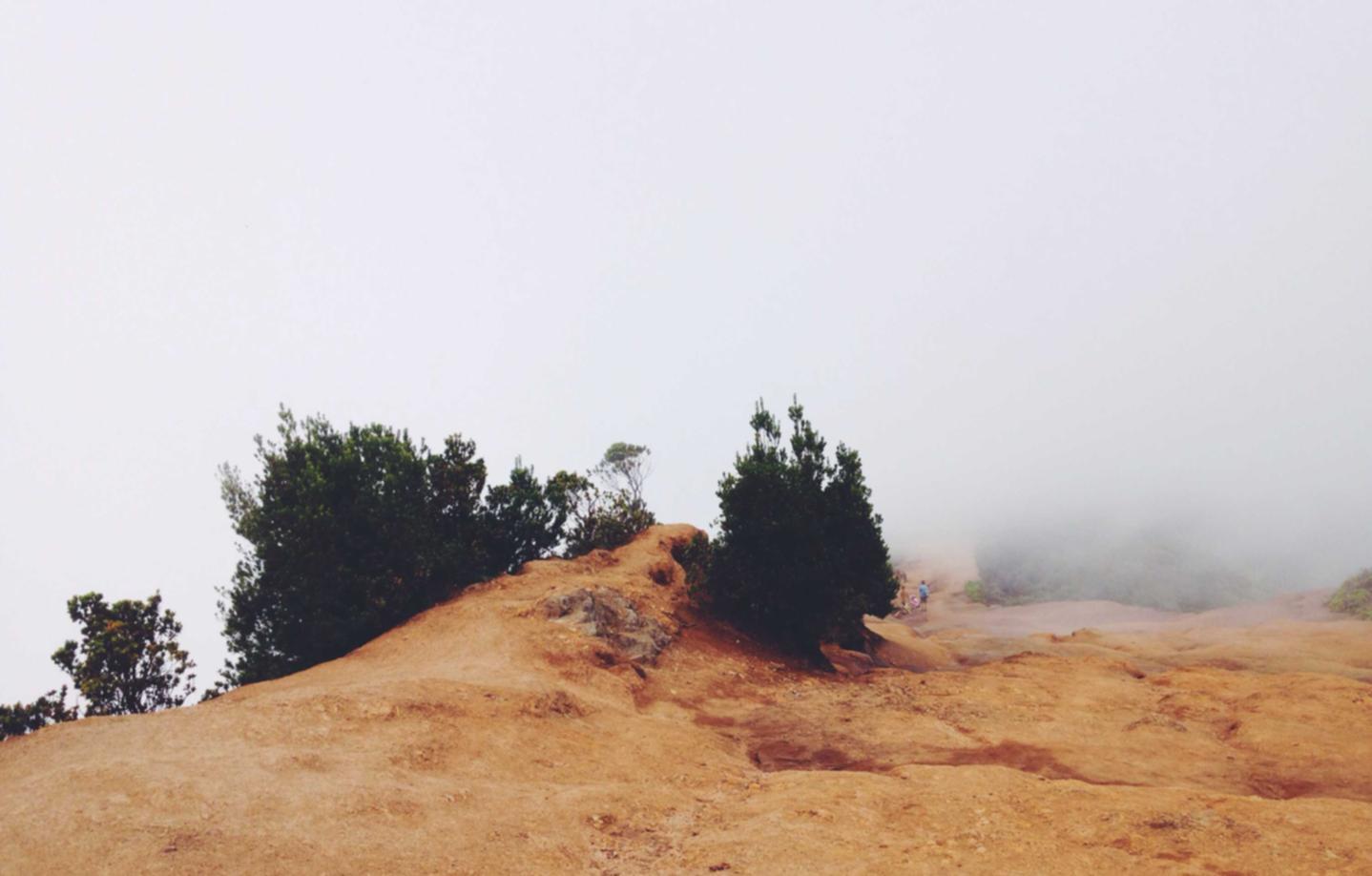 微信实名账号：漫画人app详情下载教程