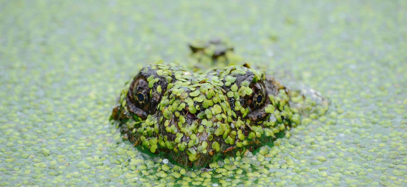 摩登4企业营销中如何通过网络广告提高创意能力？