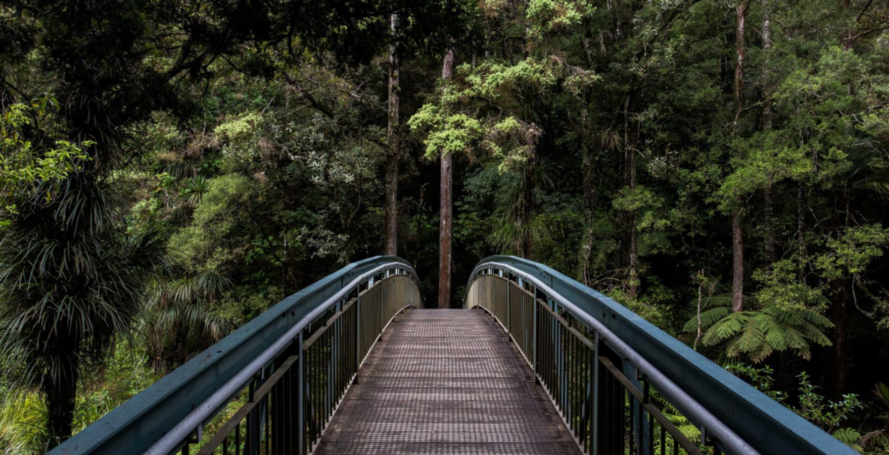 技术支持会导致游戏玩家数量减少吗？