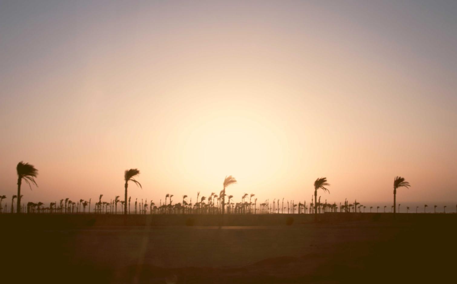 蓝猫移动实名账号：火星支付平台代理