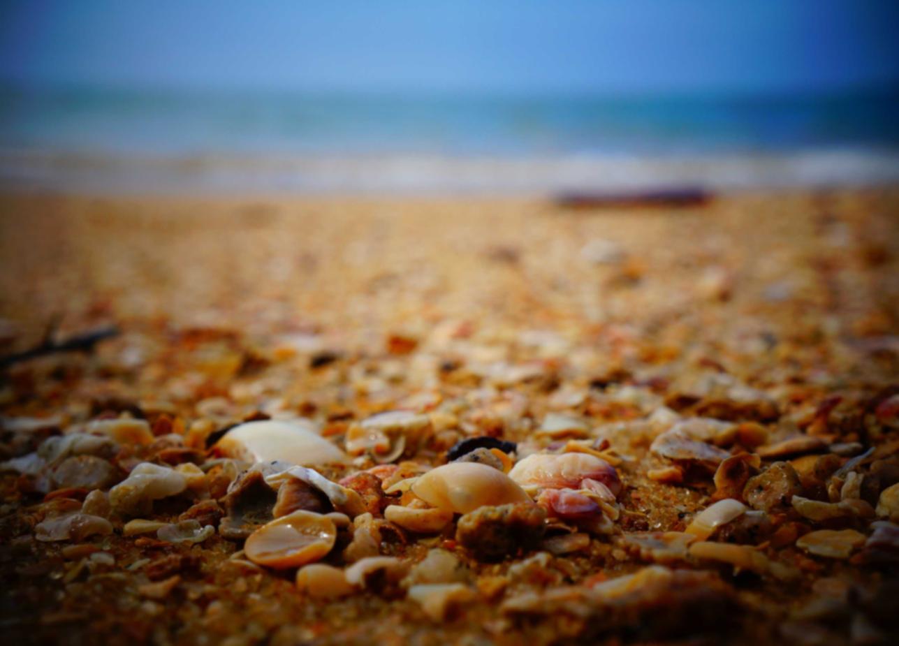 蝙蝠实名账号：开端免费详情下载教程app