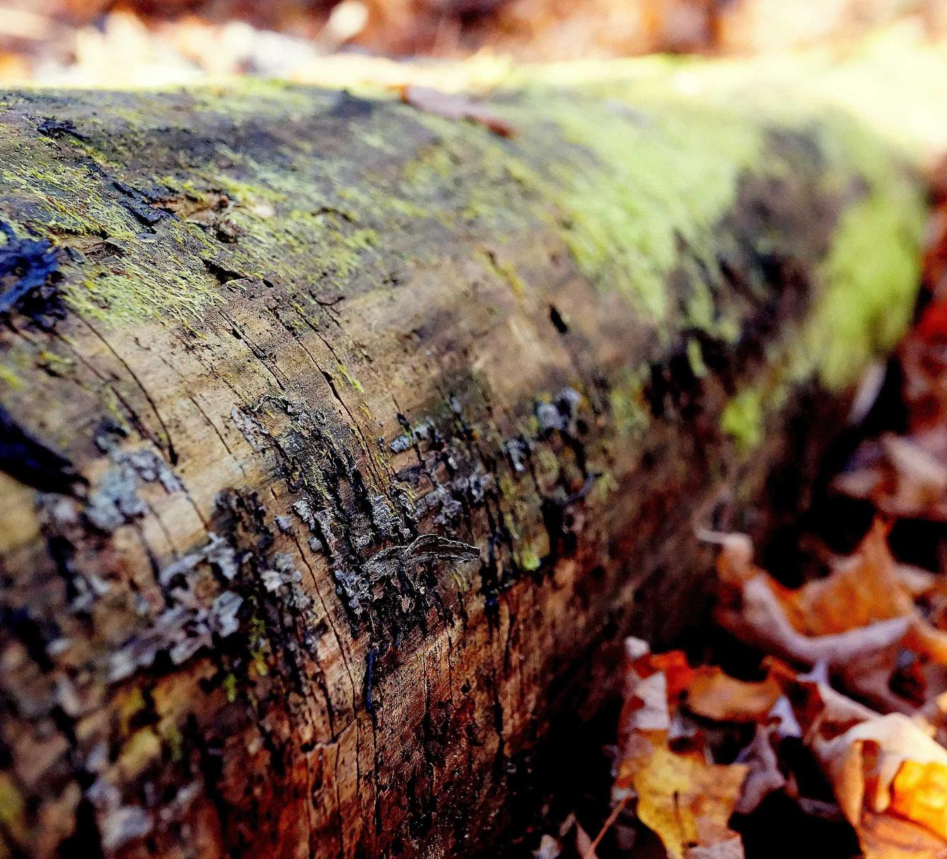 三国杀手游：谷歌账号最近注册不了了