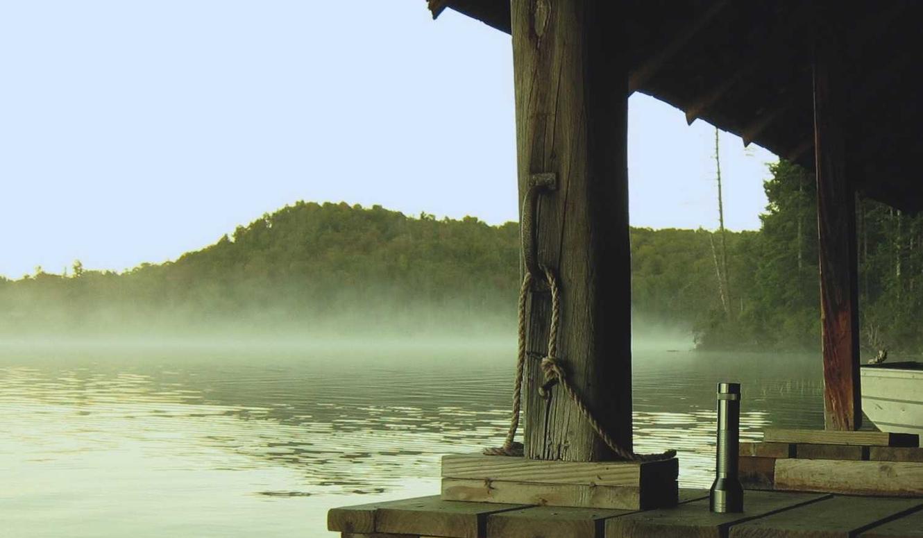 世纪互联实名账号：自由保险人代理平台