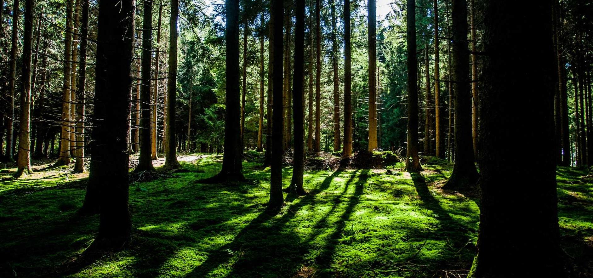 电销手机卡实名实名账号：伦敦金在哪个平台开户