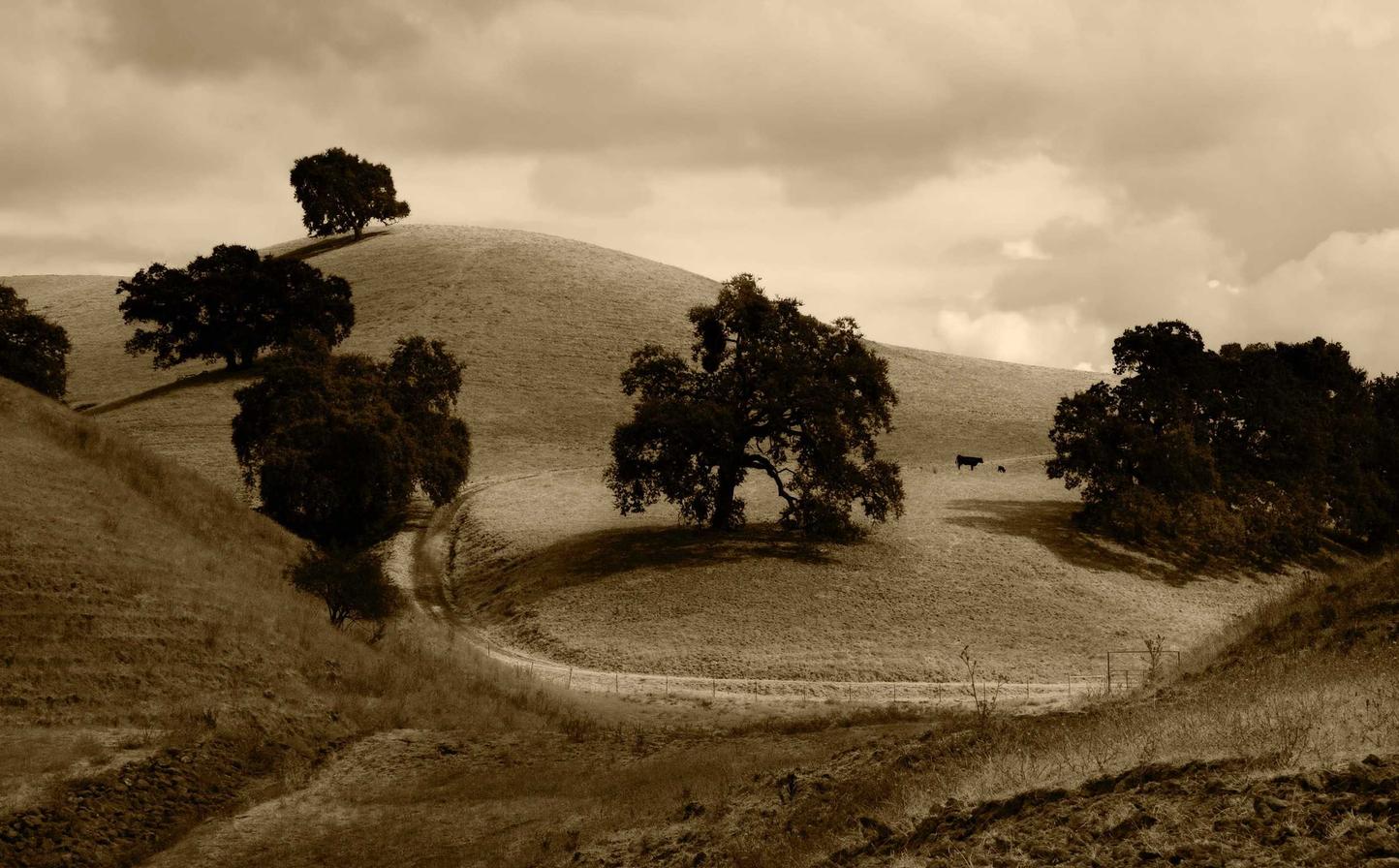 欧盟寿百年(彩寿):广西注册 代理公司注册