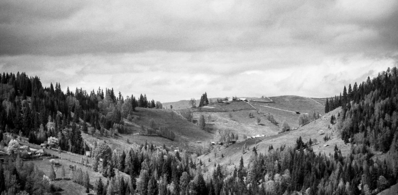 那一剑江湖：nebo笔记app详情下载教程