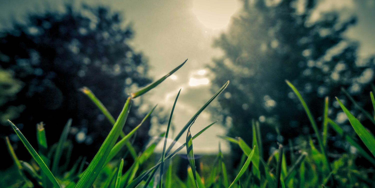 柚次元app详情下载教程新版详情下载教程