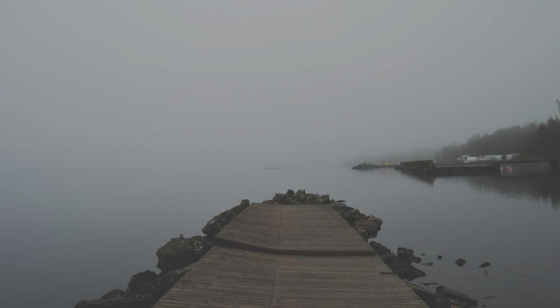 支付宝认证资料:工商注册代理书